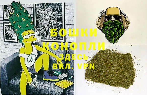 ГАЛЛЮЦИНОГЕННЫЕ ГРИБЫ Аркадак