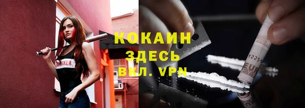 гидра Арсеньев