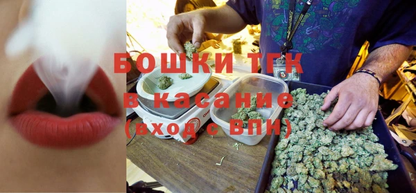 ГАЛЛЮЦИНОГЕННЫЕ ГРИБЫ Аркадак