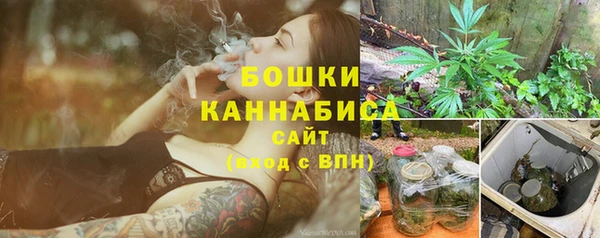 гидра Арсеньев