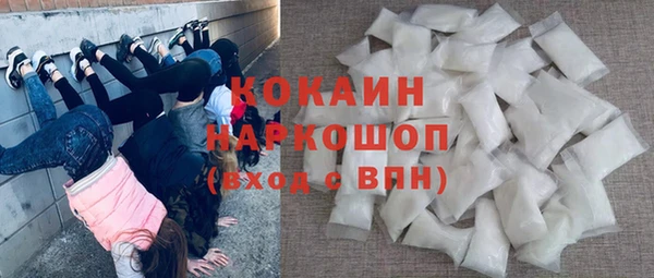 гидра Арсеньев