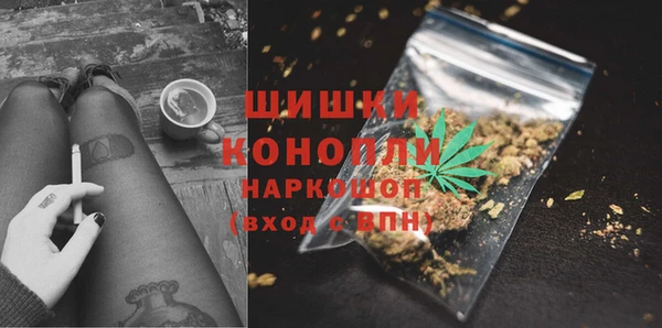 гидра Арсеньев
