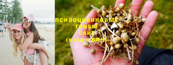 гидра Арсеньев